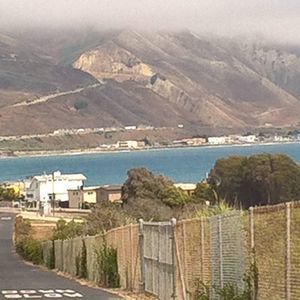 Meet your Posher, Agustine